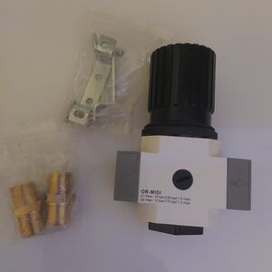 Heavy Duty Air Pressure Regulator with Fittings (32)